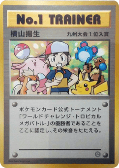 Japanese No.1 Trainer (No.1 Trainer)