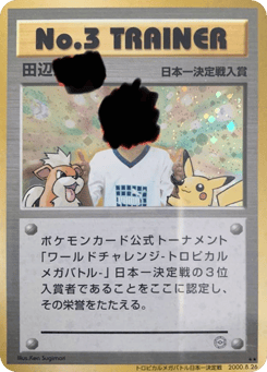 Japanese No.3 Trainer (No.3 Trainer)