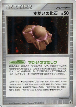 Japanese Skull Fossil (Skull Fossil)