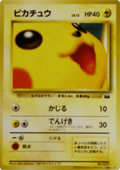 Japanese Pikachu (Pikachu)