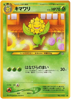 Japanese Sunflora (キマワリ)