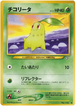 Japanese Chikorita (チコリータ)