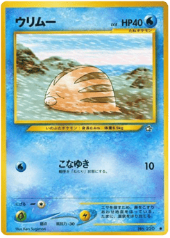 Japanese Swinub (ウリムー)