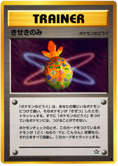 Japanese きせきのみ (きせきのみ)
