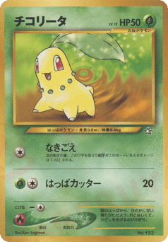 Japanese Chikorita (チコリータ)