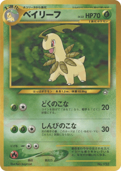 Japanese Bayleef (ベイリーフ)