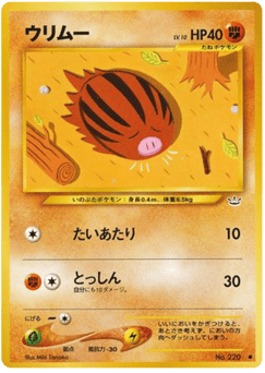 Japanese Swinub (ウリムー)