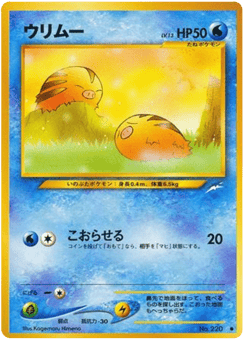 Japanese Swinub (ウリムー)