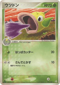 Japanese Weepinbell (ウツドン)
