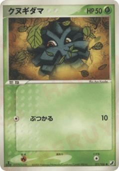 Japanese Pineco (クヌギダマ)