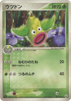 Japanese Weepinbell (ウツドン)