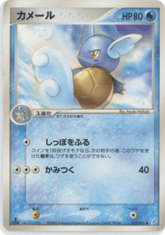 Japanese Wartortle (カメール)