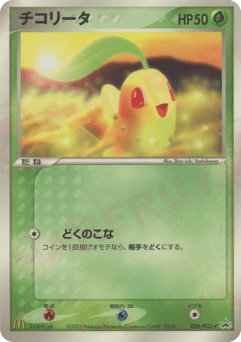 Japanese Chikorita (チコリータ)
