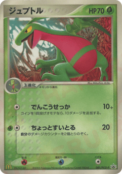 Japanese Grovyle (ジュプトル)