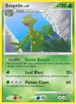 Sceptile Arceus #30