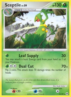 Sceptile Arceus #31