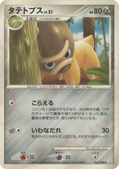 Japanese Shieldon (タテトプス)
