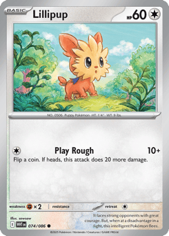 Lillipup