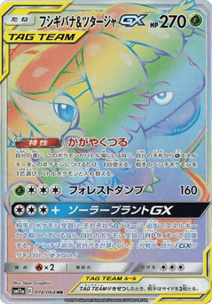Japanese M (Venusaur & Snivy-GX)