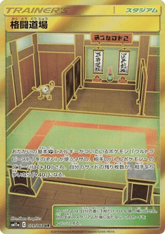 Japanese Martial Arts Dojo (Martial Arts Dojo)