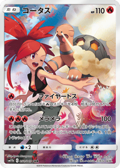 Japanese Torkoal (コータス)