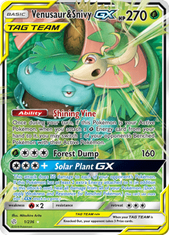Venusaur & Snivy-GX Cosmic Eclipse #1