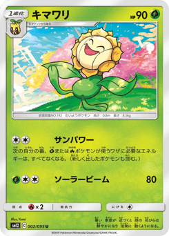 Japanese Sunflora (キマワリ)