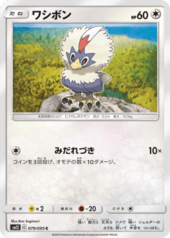 Japanese Rufflet (ワシボン)