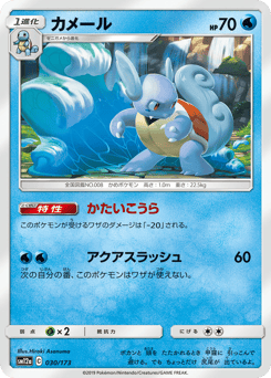 Japanese Wartortle (カメール)