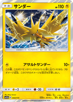 Japanese Zapdos (サンダー)
