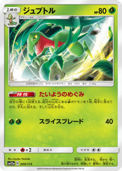 Japanese Grovyle (ジュプトル)