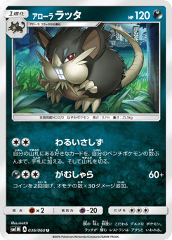 Japanese Raticate (アローラ ラッタ)