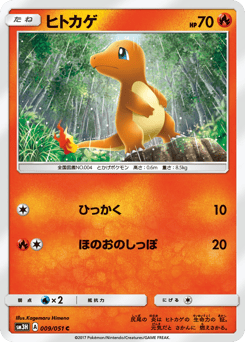 Japanese Charmander (ヒトカゲ)