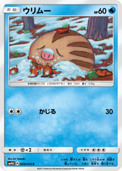 Japanese Swinub (ウリムー)