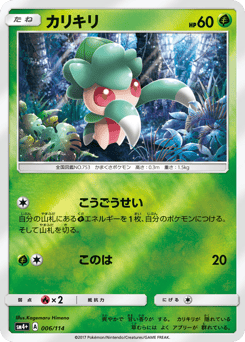Japanese Fomantis (カリキリ)