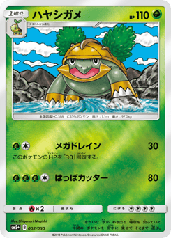 Japanese Grotle (ハヤシガメ)