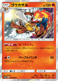 Japanese Infernape (ゴウカザル)