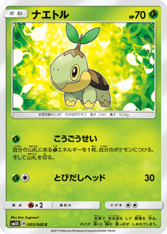 Japanese Turtwig (ナエトル)