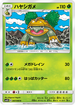 Japanese Grotle (ハヤシガメ)