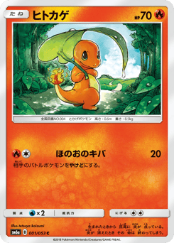 Japanese Charmander (ヒトカゲ)