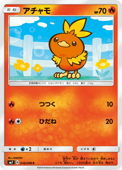 Japanese Torchic (アチャモ)