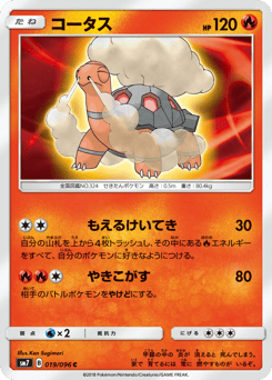 Japanese Torkoal (コータス)