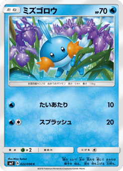 Japanese Mudkip (ミズゴロウ)