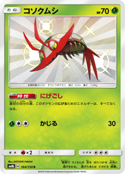Japanese Wimpod (コソクムシ)