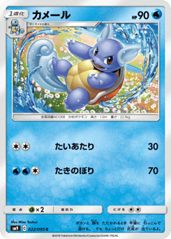 Japanese Wartortle (カメール)