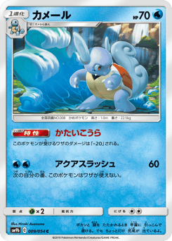 Japanese Wartortle (カメール)