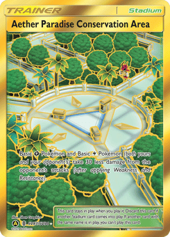 Aether Paradise Conservation Area Hidden Fates Shiny Vault #SV87
