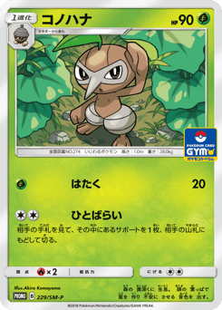 Japanese Nuzleaf (コノハナ)