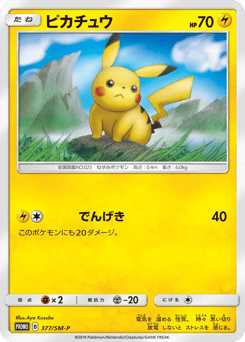 Japanese Pikachu (ピカチュウ)