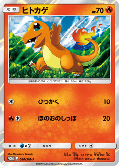 Japanese Charmander (ヒトカゲ)